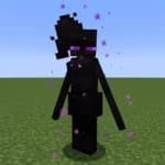 Enderwoman