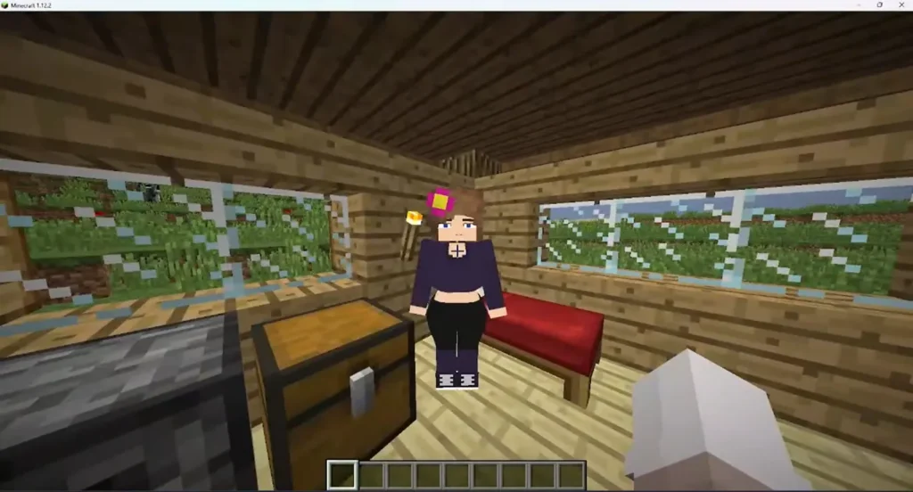 What is Jenny Mod?